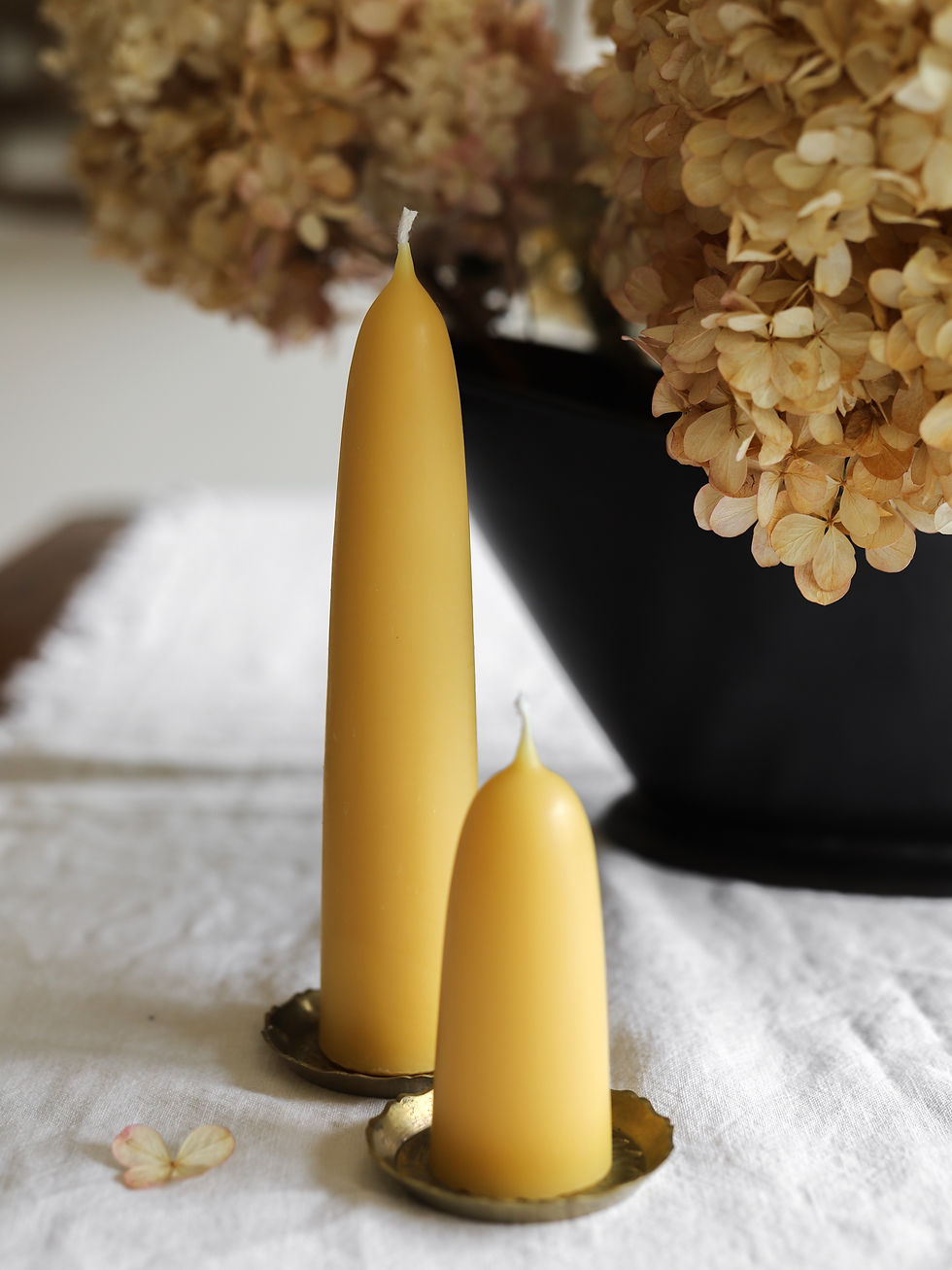 Thumbnail: Stubby Beeswax Candles