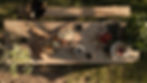 B2A922A5-1E96-49DC-B353-DD5AA9DD2555_1_206_a.jpeg