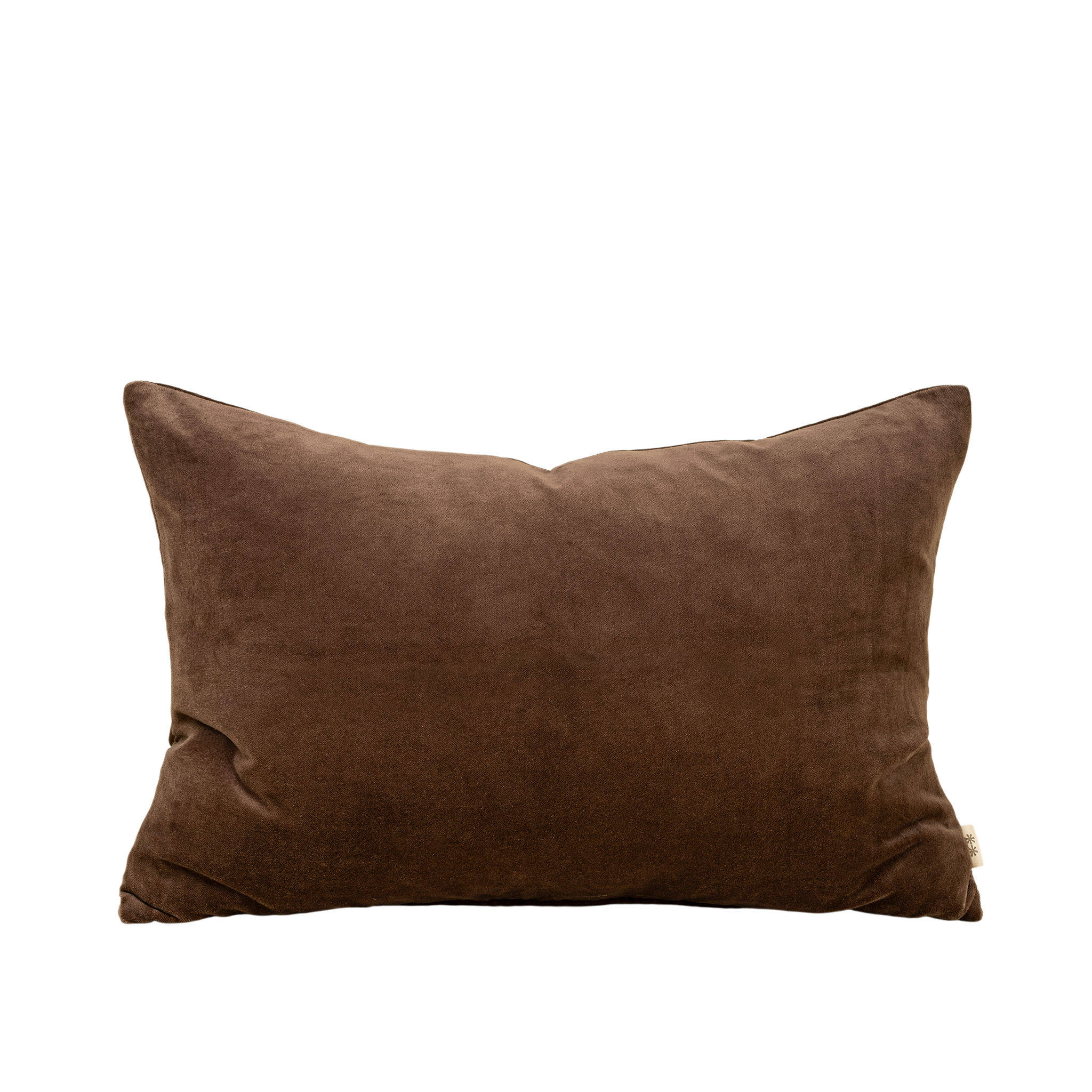 Vera Velvet Pillow | CLOVE