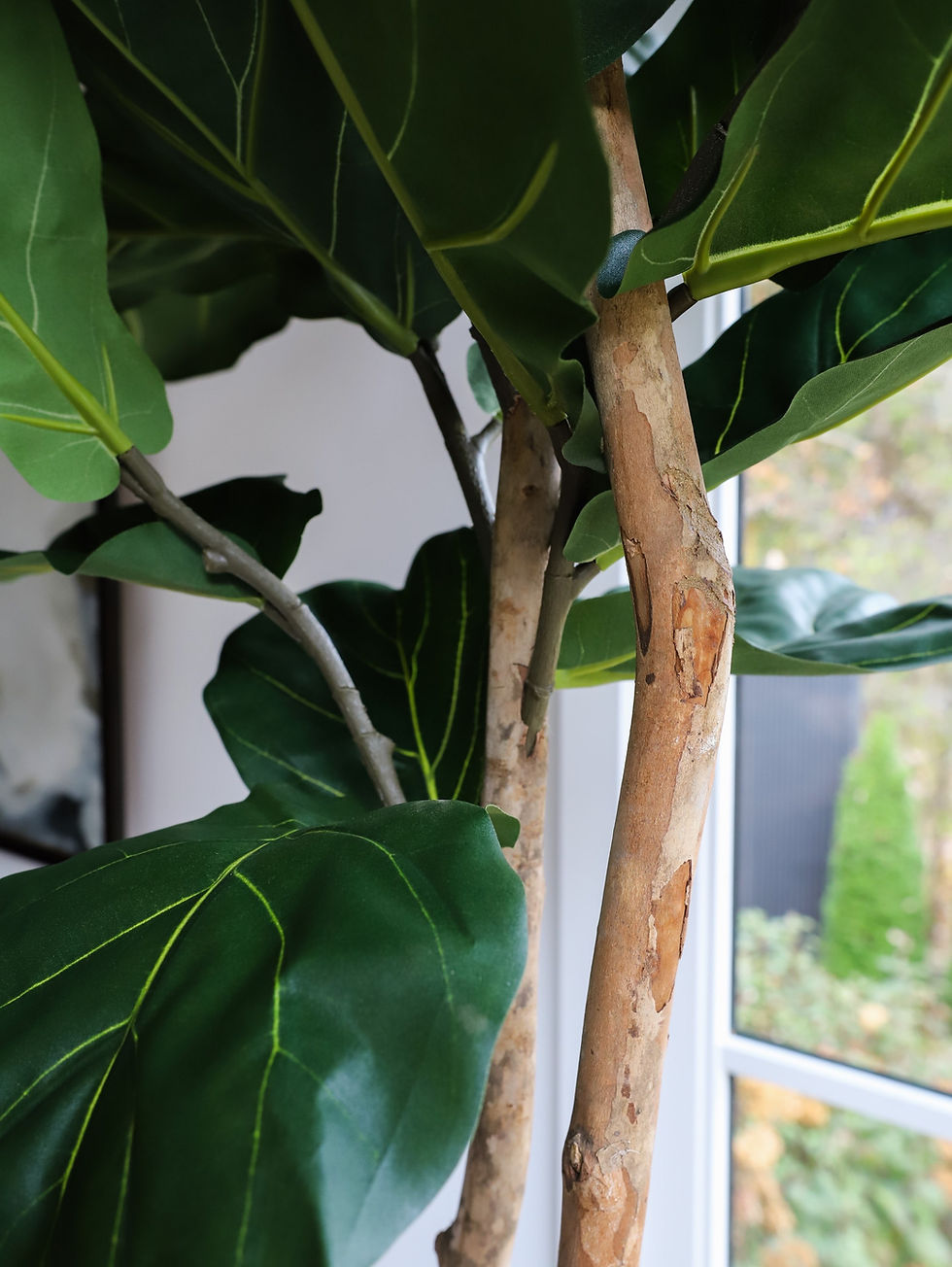 Thumbnail: Faux Fig Tree