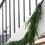 Thumbnail: Norfolk Pine Garland