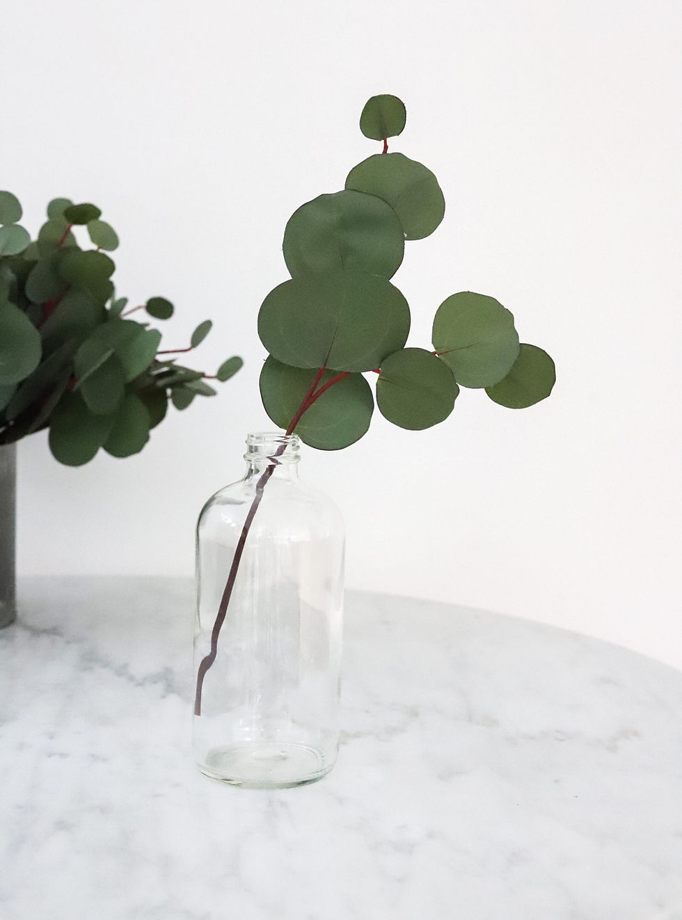 Thumbnail: Silver Dollar Eucalyptus - faux