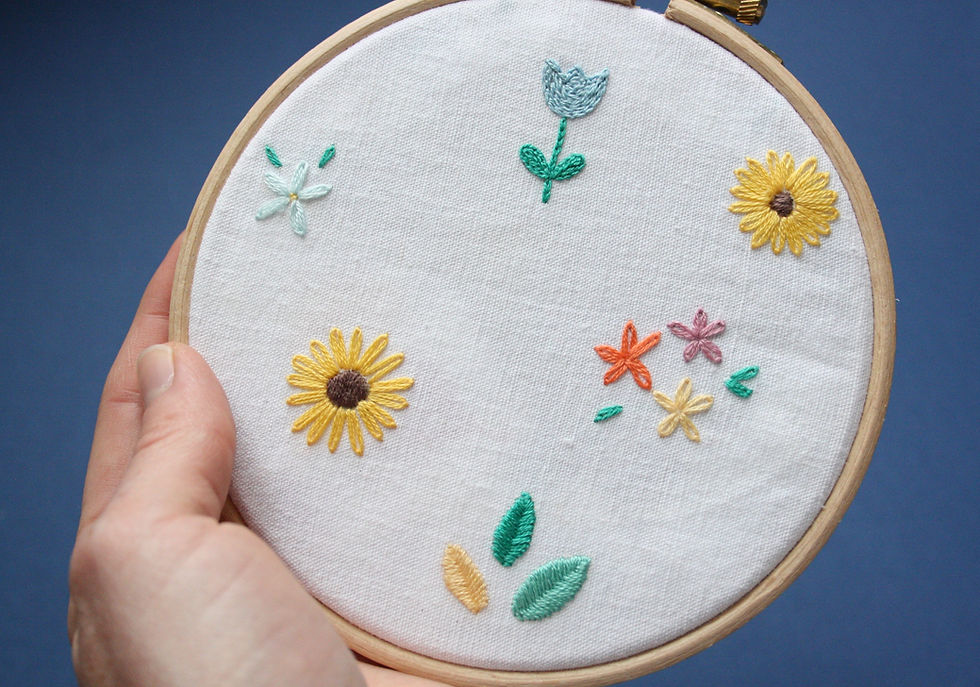 Miniature : Une main tenant un tambour brodé avec une toile. Sur la toile il y a différents points de broderie utilisés.