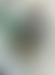 8/7 今日のオススメ