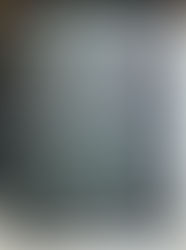 2/24 オススメメニュー