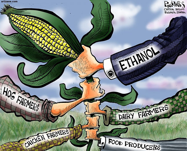 CornProduction.jpeg