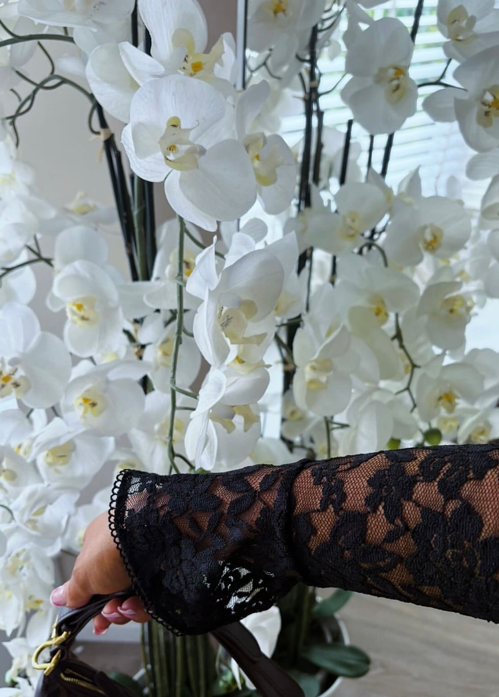 Thumbnail: Lily Lace V Neck Maxi Dress