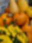 orange and yellow pumpkins and yellow mums