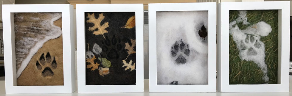 4 Seasons Paw Prints - Complete Collection
