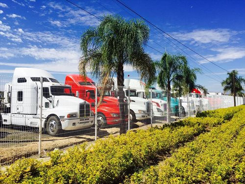 WhatsApp-Image-20160525 (18)