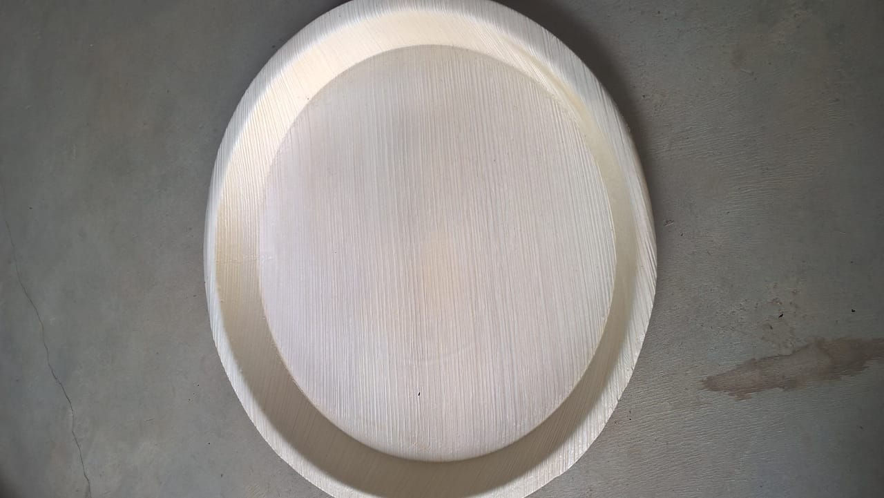 Areca Plates - 10 Inches