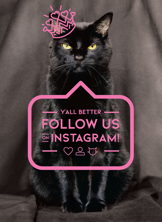 Instagram Announcement.png