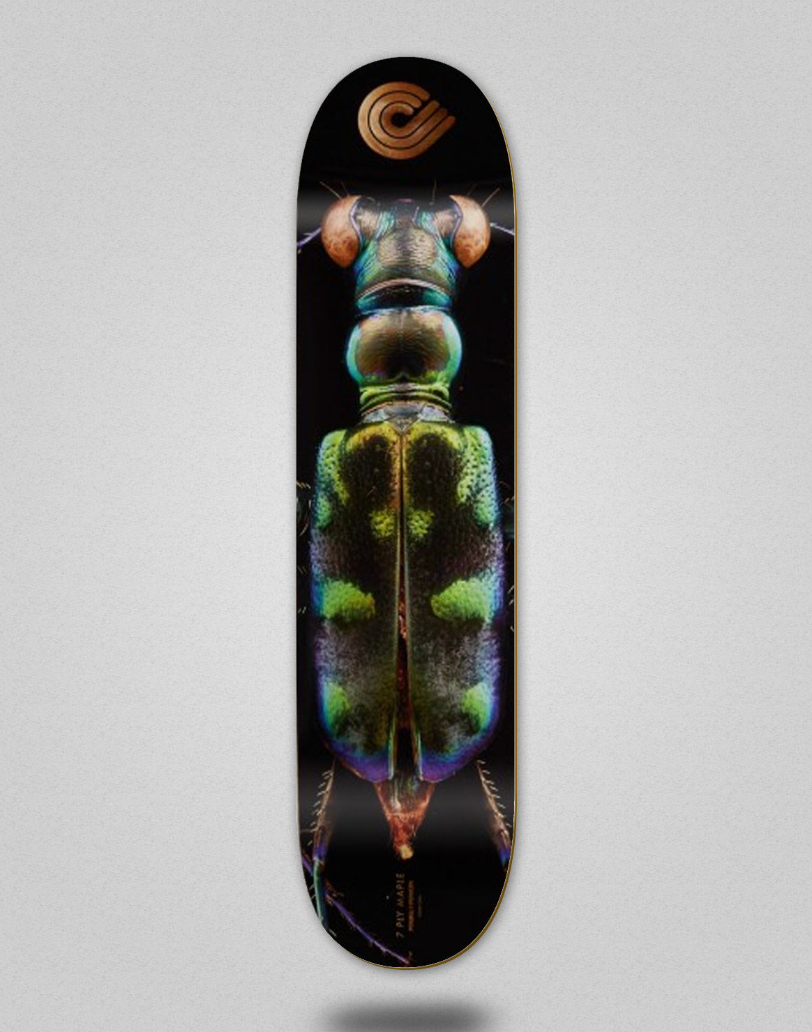 Powell Peralta Biss Tiger Beetle 8.25