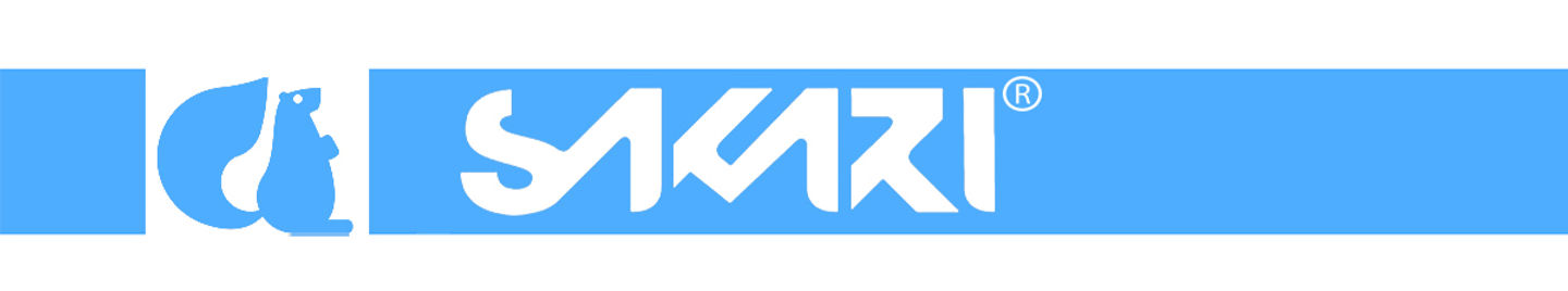 Sakari skate skateboard surfskate company
