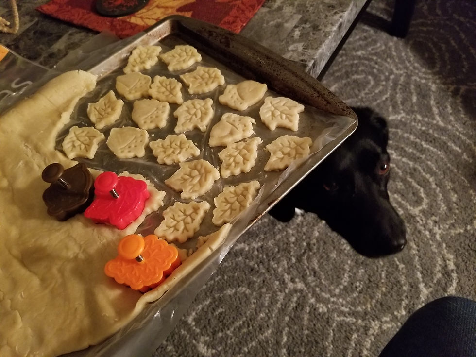 Merlin likes to help.
