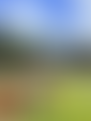 Loom playing Snowbird Oktoberfest 8.23.25