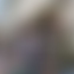 Bon accueil et belles discussions au marché de Castelnau-le-Lez, comme toutes les semaines !