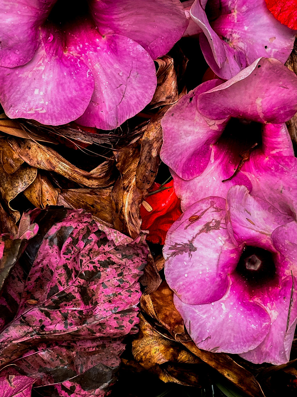 Remains-20.jpg