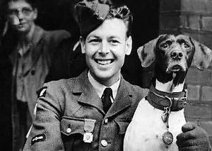 judy-the-wardog-1.jpeg