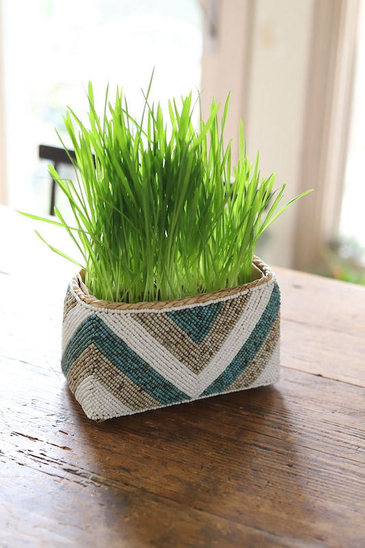 Miniature : ビーズポット