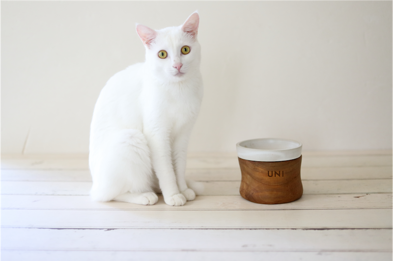 Thumbnail: ネーム入りLUCU LUCUフードボウル