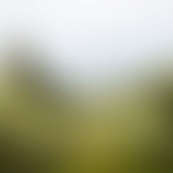 Výběr fotografií z květnové Lefkady