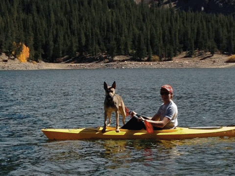 Animated GIF-downsized_large.gif