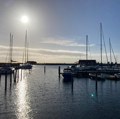 IMG_1924.jpeg