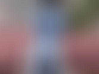 dog with a large rosette