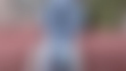 dog with a large rosette