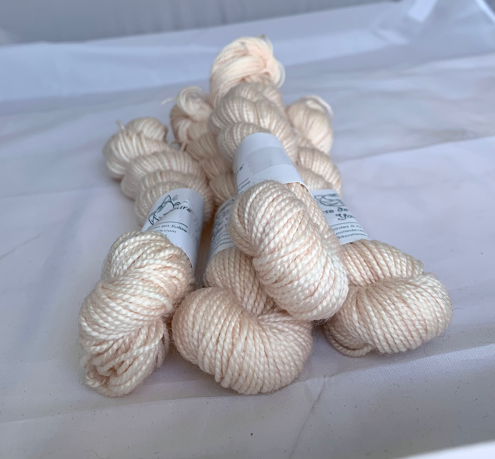 Miniature : Fingering divers - 100% sw mérinos MINIS 