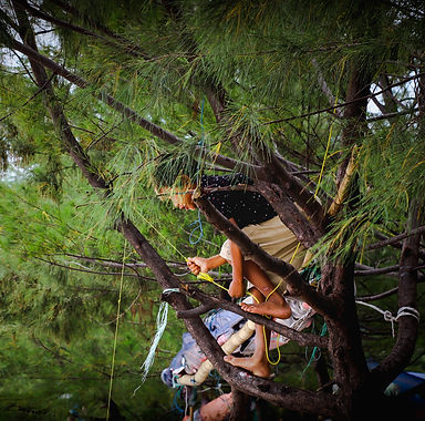 Foto TA (41 of 63).jpg