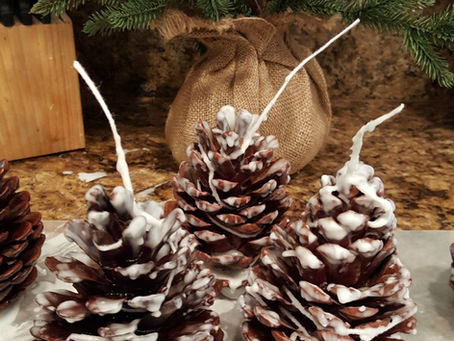 Ignite Your Fall/Winter with DIY Pinecone Fire Starters: A Cozy & Rustic Craft