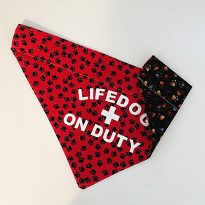 DIY Reversible Dog Bandana