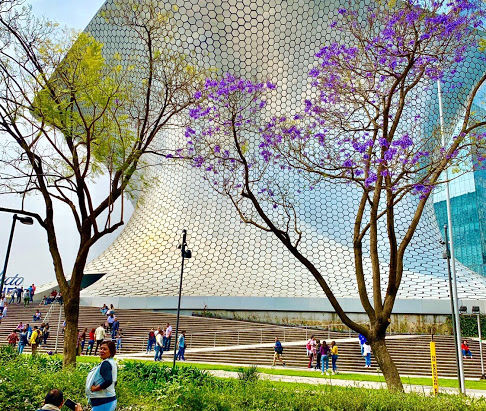 February in CDMX