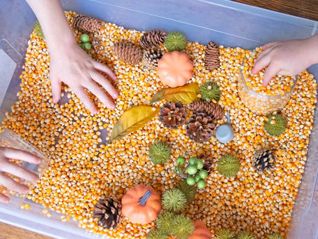 Falling for Sensory Play: Your Prime Day Guide to a Toddler Fall Sensory Bin!