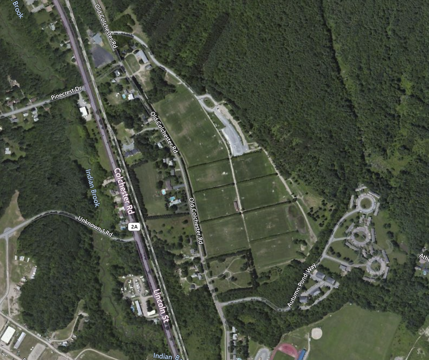 Tree Farm.png