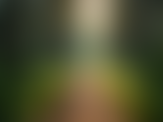 Embracing Leave No Trace Principles: Join HikerBabes for September Trail Cleanups