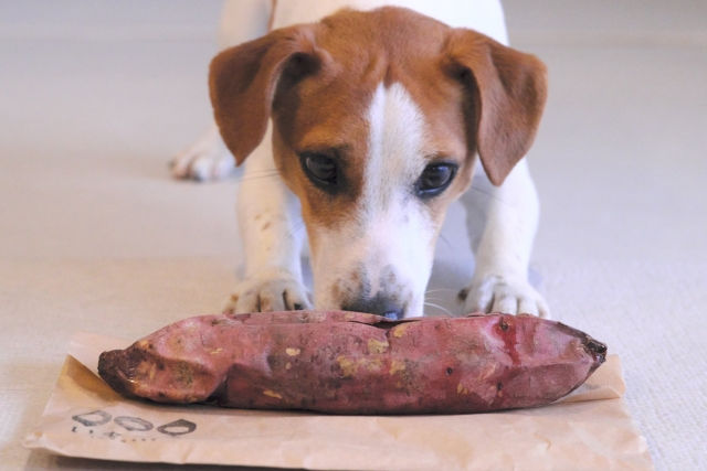 🍠さつまいもがおすすめな理由
