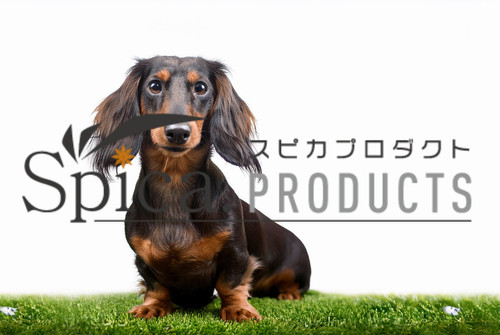 KOSEN ダックスフンド　モヘア　値下げ不可 KOSEN ダックスフンド モヘア 値下げ不可 楽天市場】【在庫あり】Kosen