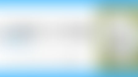 温厚篤実！性格が穏やかで人懐っこい愛され犬種ランキングTOP10