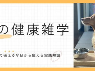 犬がごはんを食べない!どうすればいい?初期原因と対策を徹底解説!