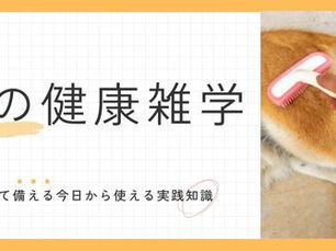 愛犬の毛が抜けすぎてヤバい!抜け毛対策とケア方法を教えて!