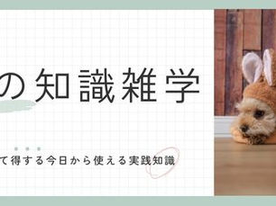 愛犬の耳はどこまで聞こえてる? 超能力レベルの聴覚の秘密を大解剖!