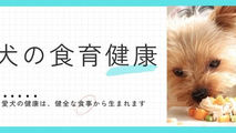 愛犬３分クッキング、小さい頃から手作りごはんで栄養たっぷり幸せ満点なごはんタイムを！（初心者向け）