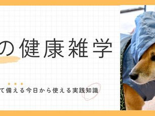 梅雨だからこそ気を付けたい!愛犬の健康ケア5つのポイント☔