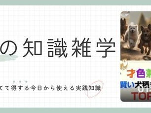 才色兼備!賢い犬種ランキング TOP10