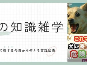 愛犬に寄ってくる、犬が気をつけるべき害虫 5選