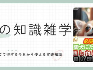 必見!愛犬にたくさん話しかけるといい理由 3選