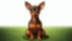 7位:ミニチュア・ピンシャー(Miniature Pinscher)